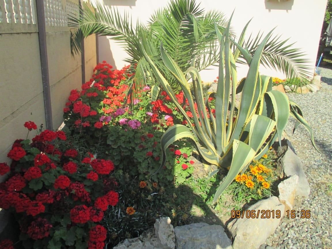 Апартаменты Ararat & Svetlana Алахадзы-14