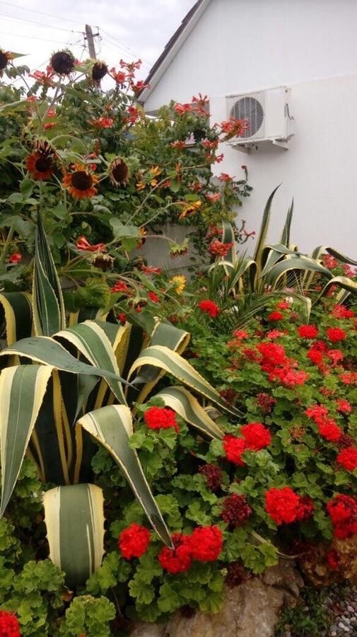 Апартаменты Ararat & Svetlana Алахадзы-6