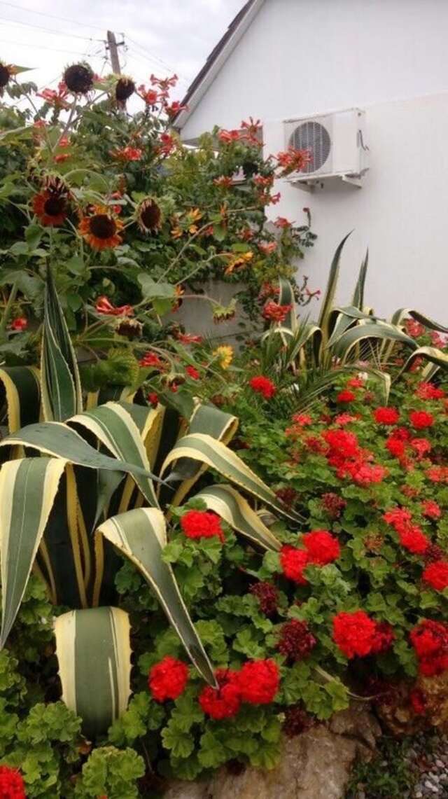 Апартаменты Ararat & Svetlana Алахадзы-5